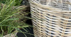 Übertopf Rattan
