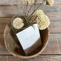 Chrysanthemenzweig Creme