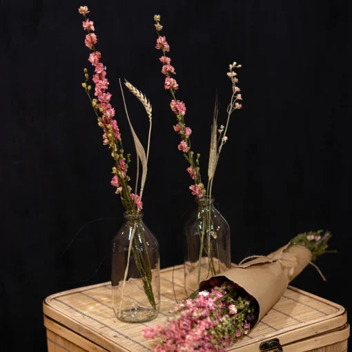 Delphinium Bund