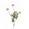 Kornblume beige