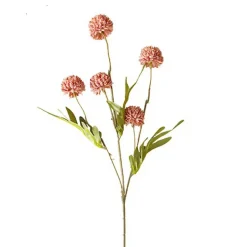 Kornblume rosa