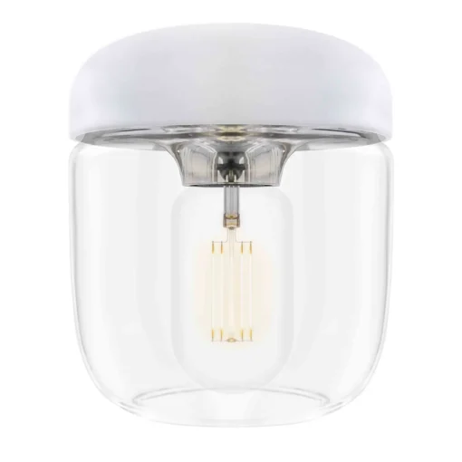 Lampe Acorn
