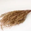 Lepidium Bund