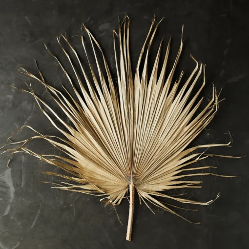 Palmblatt
