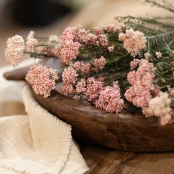 Reisblüten Bund