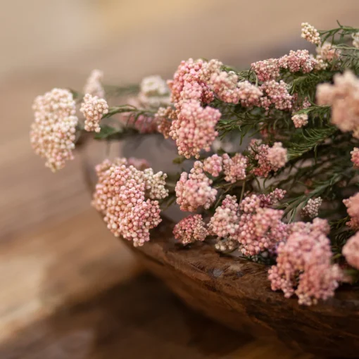 Reisblüten Bund