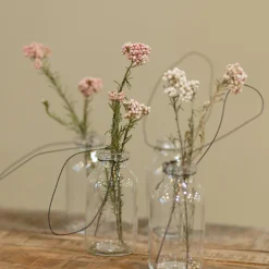 Reisblüten Bund