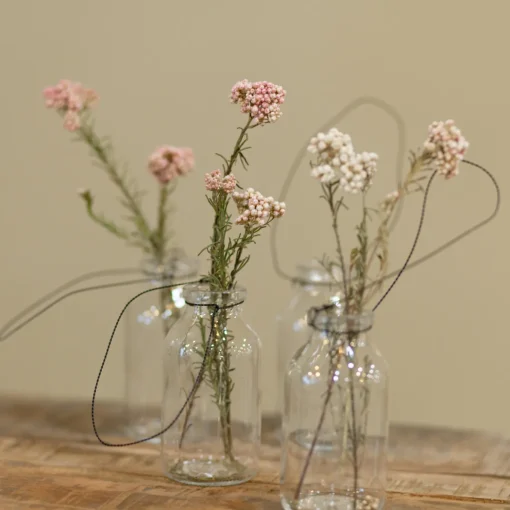 Reisblüten Bund