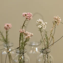 Reisblüten Bund