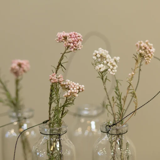 Reisblüten Bund