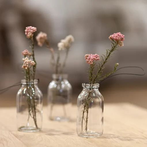 Reisblüten Bund
