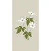Serviette Anemone