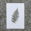 Slowlay Postkarte