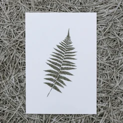 Slowlay Postkarte