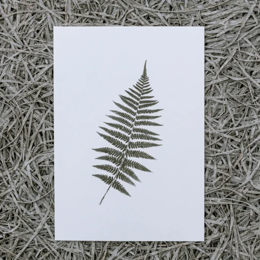 Slowlay Postkarte