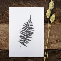 Slowlay Postkarte