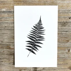 Slowlay Postkarte
