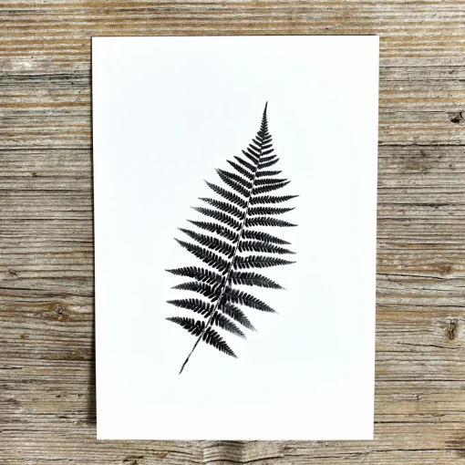 Slowlay Postkarte