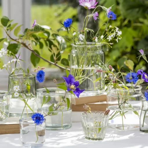 Topf Glas