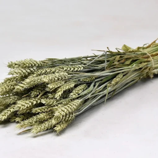 Weizen Bund